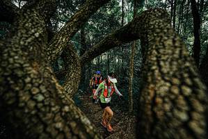 BIB: 
                            <button type="button" onclick="openModal(25672028)" class="btn btn-primary btn-sm float-right btn-popup" data-toggle="modal" data-target=".modal-high-quality">
                        <i class="fas fa-shopping-cart"></i> Add to Cart
                    </button>
                                            <button type="button" onclick="isThisMe(25672028, true)" class="btn btn-success btn-sm float-right btn-popup btn-isme hidden" data-toggle="tooltip" data-placement="bottom" title="นี่คือรูปของคุณใช่ไหม คลิกที่นี่เพื่อเอาเข้าอัลบั้ม">
                        <i class="fas fa-plus"></i> Add to album
                    </button>
                    <button type="button" onclick="isThisMe(25672028, false)" class="btn btn-warning btn-sm float-right btn-popup btn-isnotme hidden">
                        <i class="fas fa-ban"></i> Remove from album
                    </button>